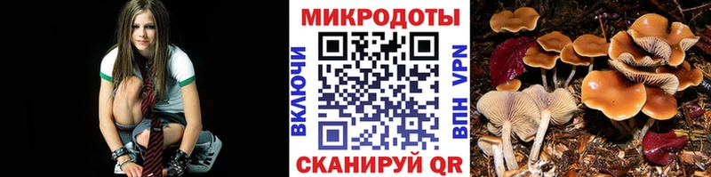 kraken ССЫЛКА Весьегонск это официальный сайт Галлюциногенные грибы прущие грибы